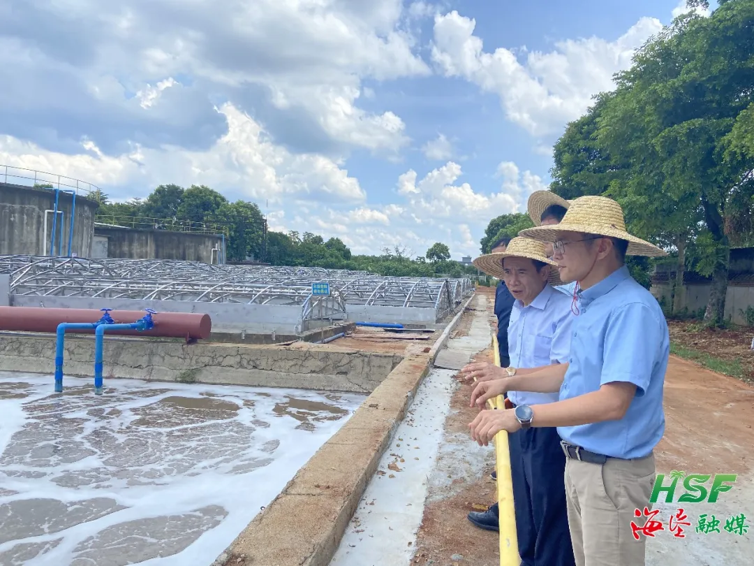 1723531757386073252.jpg 1723531757386073252.jpg