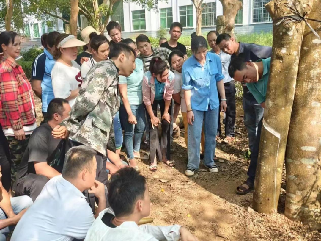 1747616077664098949.jpg 1747616077664098949.jpg