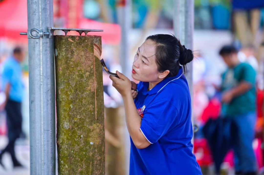 1747623570597003953.jpg 1747623570597003953.jpg