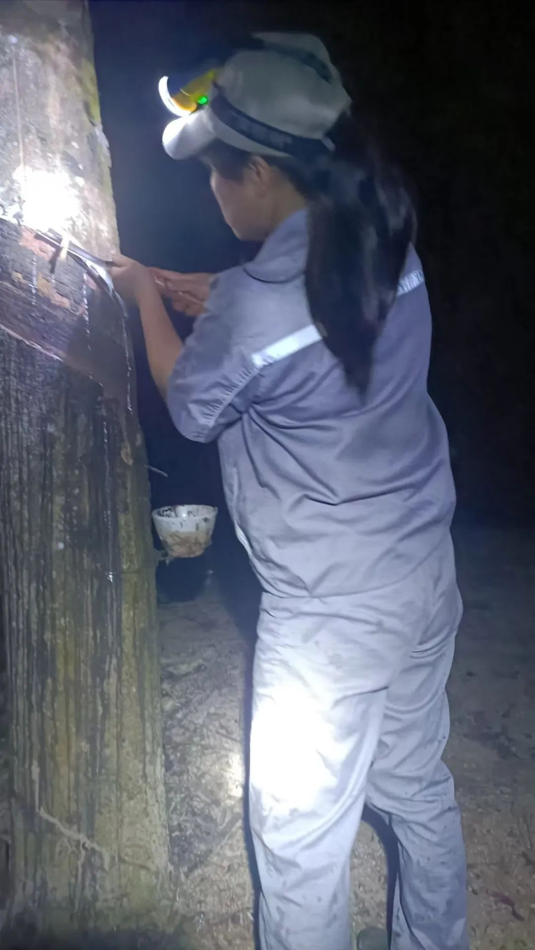 1747638642212093760.jpg 1747638642212093760.jpg